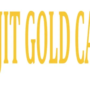 Shilajit Gold 30 Capsule For Premium Vitality Ayurvedic Supplement For Men Pack of 1